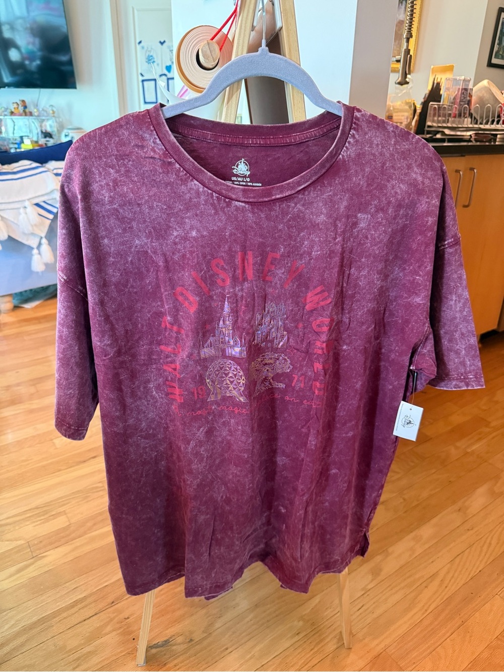 2026 Disney World 4 Parks Most Magical Place Acid Wash Burgundy Wine L BNWT